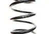Пружина (задняя) Opel Corsa D 1.0-1.4/1.3CDTI 06-14 EIBACH R10351 (фото 2)