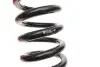 Пружина (задня) MB E-class (S210) 2.0-3.2 96-03 (з сист.рег.дорож.прос.) EIBACH R10507 (фото 3)