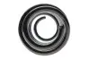 Пружина (задня) VW Polo V 1.0-1.2/TSI/1.4-1.6TDI 09- (накл.з.ч) (з пост. діаметром) EIBACH R10992 (фото 4)