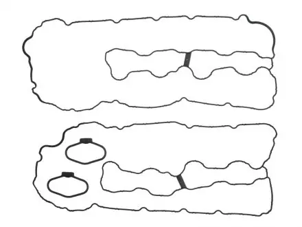 Прокладка клапанної кришки (к-кт) BMW F01/F02/F03/F04/F10/E70/E71 06-17 ELRING 008.560