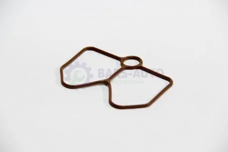 Прокладка колектора впуск Citroen Jumper / Fiat Ducato / Peugeot Boxer 2.0 i 94- ELRING 023.540