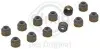 Сальник клапана (впуск/випуск) Toyota Land Cruiser 3.4i 24V 96-02 (к-кт 12шт) ELRING 137.020 (фото 5)