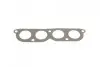 Прокладка корпуса впускного коллектора VW Golf/Passat/Polo/Seat Ibiza/Cordoba 1.6 94-02 ELRING 165.200 (фото 1)