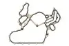Прокладка кришки ГРМ Audi Q5/Q7/Q8/VW Touareg 3.0 TDI 15- ELRING 232.841 (фото 4)