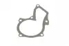 Прокладка помпы воды Ford Transit Connect 1.6 EcoBoost 13- ELRING 264.420 (фото 1)