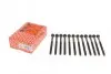 Болты головки (к-кт 12шт.) Volvo C30/S40/S60/S80/V50/V70/XC60/XC70/XC90 2.4 D5 01-14 ELRING 270.130 (фото 5)