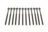 Болты головки (к-кт 12шт.) Volvo C30/S40/S60/S80/V50/V70/XC60/XC70/XC90 2.4 D5 01-14 ELRING 270.130 (фото 2)