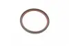 Сальник колінвалу (задній) Opel Astra G/Omega B/Vectra B/C 2.0-2.2 DTI 98- (99x114x11) ELRING 294.060 (фото 1)