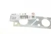 Прокладка коллектора выпускного Volvo C30/C70/S40/S80/V50/V70/XC70/XC90 2.4D 02- ELRING 295.140 (фото 2)