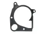 Прокладка помпи води BMW 3 (E90/92/93)/5 (E39/70) 2.0/2.5/3.0D 98-14 ELRING 362.281 (фото 3)