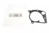Прокладка помпи води BMW 3 (E90/92/93)/5 (E39/70) 2.0/2.5/3.0D 98-14 ELRING 362.281 (фото 1)