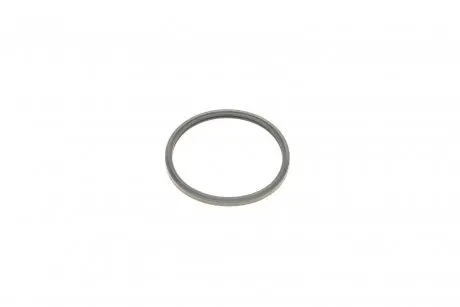 Прокладка термостата Citroen Jumper/Peugeot Boxer 2.2 HDi 06- ELRING 446.020