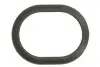 Прокладка радіатора масляного ущільнюючого Porsche Cayenne 3.6/4.8 GTS 07- ELRING 482.260 (фото 1)