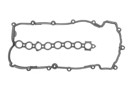 Прокладка клапанной крышки Land Rover Freelander 2.0 TD 00-06 ELRING 490.464