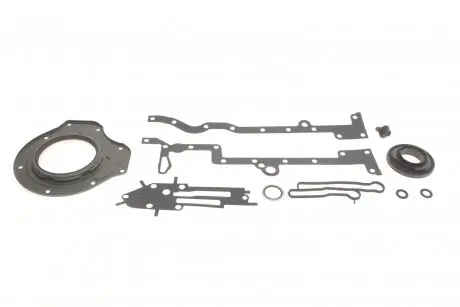 Комплект прокладок (нижний) Ford Transit 2.2 TDCi 11-14 ELRING 572.890