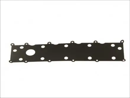 Прокладка крышки клапанов Land Rover Freelander 2.0DI 4x4 98-00 ELRING 575.660
