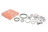 Комплект прокладок (нижний) BMW 5 (F10/G30/F90)/7 (G11/G12)/X3 (F25/G01/F97)/X5 (F15/F85/G05/F95) 14- B47/N47 ELRING 648.330 (фото 1)