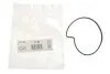 Прокладка помпы воды BMW i3 (I01) Range Extender 650 (IB1P25B/W20K06A) 13- ELRING 773.790 (фото 2)