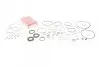 Комплект прокладок АКПП BMW 3/5/7 09-18 ZF8HP45, ZF8HP45x, ZF8HP45HIS, NLF, NLG, NPY, NPZ ELRING 821.470 (фото 1)
