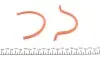 Комплект прокладок (нижній) Renault Kangoo/Clio/Megane 1.4/1.6 88- ELRING 867.520 (фото 5)