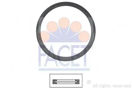 Кільце ущільнювача термостата Ford Fusion 1.4 (02-12) FACET 7.9675 (фото 1)
