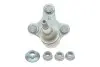 Опора кульова (передня/R) Audi A3 06-/VW Golf IV 05- FAG 825 0276 10 (фото 2)
