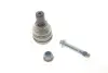 Опора шаровая (передняя/снизу) Ford Fiesta VI 1.0-1.6D 08- FAG 825 0346 10 (фото 2)