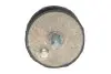 Подушка КПП BMW 5 (E39) 00-03 (передняя) FEBI BILSTEIN 07742 (фото 3)