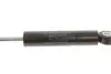 Амортизатор натяжника ремня генератора MB (OM601-606) 1200 Нм FEBI BILSTEIN 08779 (фото 2)