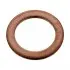 Прокладка трубки подачі оливи до турбіни BMW 5 (E60/E61) 330d (10x15) FEBI BILSTEIN 101219 (фото 1)
