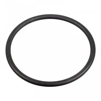 Прокладка топливного насоса Audi/VW/Ford/MB/Opel/Renault (31x2mm) FEBI BILSTEIN 172666