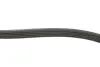 Комплект ременя генератора Fiat Doblo 1.4 05- (5PK1145) FEBI BILSTEIN 177980 (фото 2)