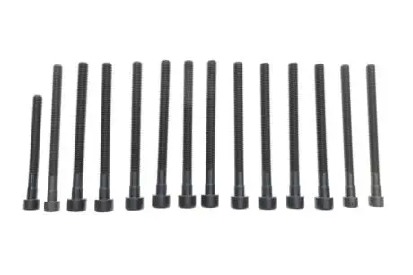 К-т болтів головки (з шліцем типу Torx) FEBI BILSTEIN 178284