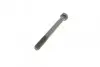 Комплект рычажных болтов (переднего) Audi A4/A6/VW Passat 96-05 FEBI BILSTEIN 21498 (фото 11)