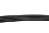 Ремень генератора Fiat Doblo 1.4 05- (5PK1145) FEBI BILSTEIN 28856 (фото 3)