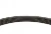 Ремень генератора VW T6 2.0 TSI 15- (6PK1113) FEBI BILSTEIN 28924 (фото 3)