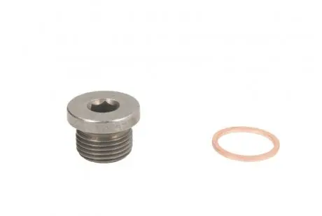 Болт слива масла + шайба BMW 5 (E60)/7 (E65)/X5 (E53/F15) (M18x1,5) FEBI BILSTEIN 31704