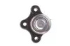 Опора шаровая (передняя/сверху) Ford Ranger/Mazda B-serie/BT-50 2.2-3.0D 85-15 FEBI BILSTEIN 42398 (фото 3)