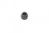Ремкомплект суппорта (заднего) Honda Accord 91-93/Mazda MX-5 05-14 (d=38mm) (Nih/Nissin) FRENKIT 238025 (фото 11)