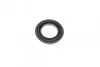 Ремкомплект суппорта (заднего) Lexus IS 05-12/Toyota Mark XI/II 04- (d=43mm) (+поршень) (Advi) FRENKIT 243969 (фото 11)