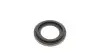Ремкомплект суппорта (переднего) Nissan Navara/NP300 01- (d=46mm)(+2 поршня) (Niss) FRENKIT 246910 (фото 4)