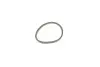 Ремкомплект суппорта (переднего) Mini Mini (F54/F55/F56/F57) 13- (d=54mm) (Trw) (+поршень) FRENKIT 254842 (фото 4)