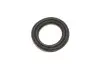 Ремкомплект суппорта (переднего) Mitsubishi Colt VI 04-12 (d=54mm) (Akebono) (+ поршень) FRENKIT 254951 (фото 11)