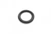 Ремкомплект суппорта (переднего) Seat Ibiza 97-02 (d=54mm) (TRW)(+1 поршень/направляющая) SuperKit FRENKIT 754412 (фото 6)