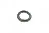 Ремкомплект супорта (переднього) VW Passat 96-00 (d=54mm)(TRW)(+1 поршень/направляюча) SuperKit FRENKIT 754432 (фото 4)