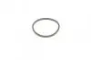 Ремкомплект супорта (переднього) Hyundai Elantra/Kia Rio III 00-(d=54mm)(Mando)(+1 поршнь/направляю) FRENKIT 754470 (фото 2)