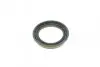Ремкомплект суппорта (переднего) Land Rover Discovery 14-(d=66mm)(+ поршень/направляющая)(ATE) FRENKIT 766616 (фото 7)