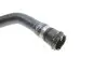 Патрубок радиатора (нижний) BMW 3 (E46) 2.0i-3.0i 98-07 Gates 02-1646 (фото 5)