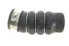 Патрубок интеркулера (нижний/R) BMW 3 (E90/E91) 2.0d 04-12 (M47/N47) Gates 09-0183 (фото 4)