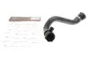 Патрубок системы охлаждения (нижний) (R) BMW 3 (E46) 2.0i-3.0i 00-06 M52/M54 Gates 3939 (фото 1)